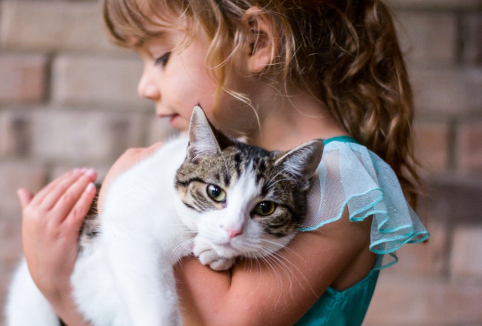 A kitty can really be a girl's best friend. Photo by Donnie Ray Jones, via Flickr (CC BY-NC-ND 2.0)