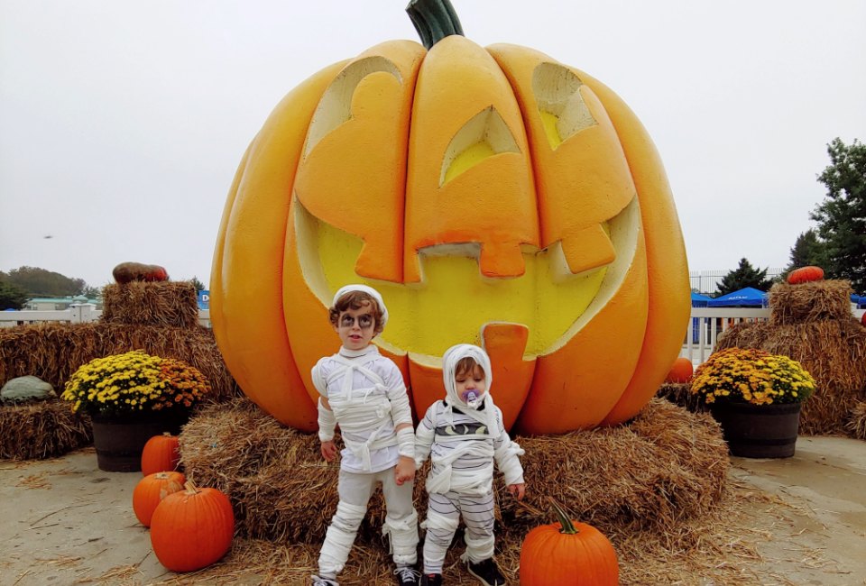 Dorney Park Photo by Cait