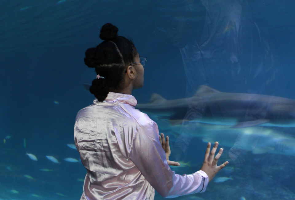 Overnight at Adventure Aquarium