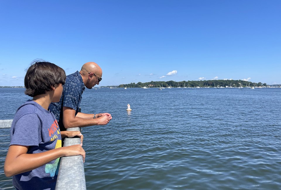 Oyster Bay