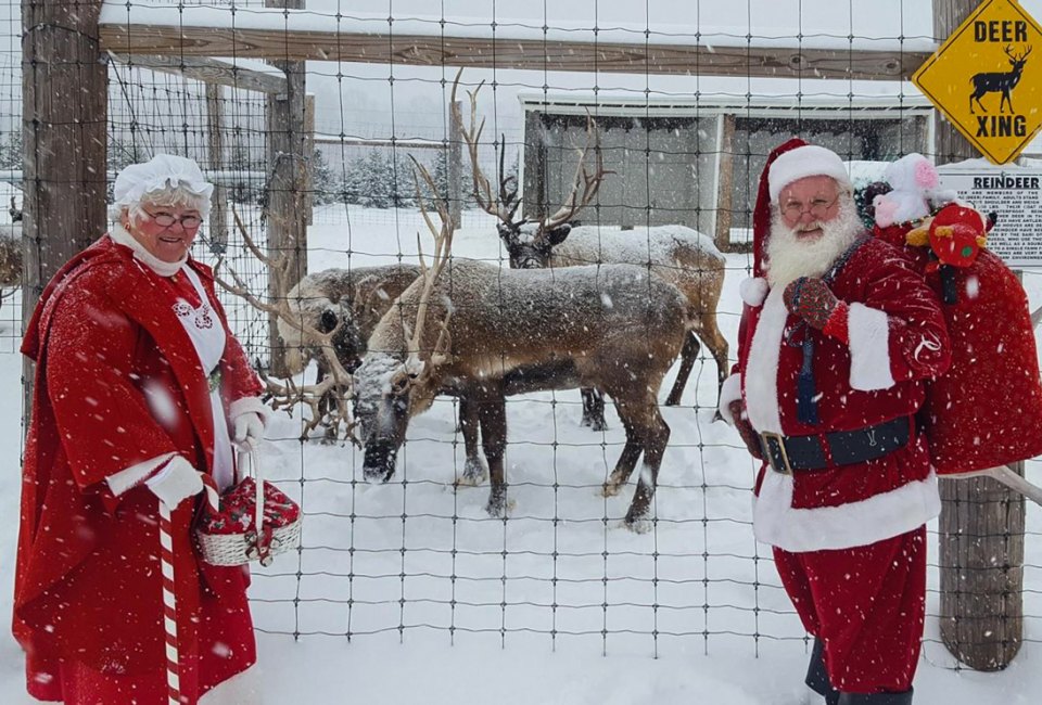 Get ready for the holidays (and Santa coming to town) with a visit to a Christmas tree farm in Connecticut! Photo courtesy of Dzen Family Tree Farm