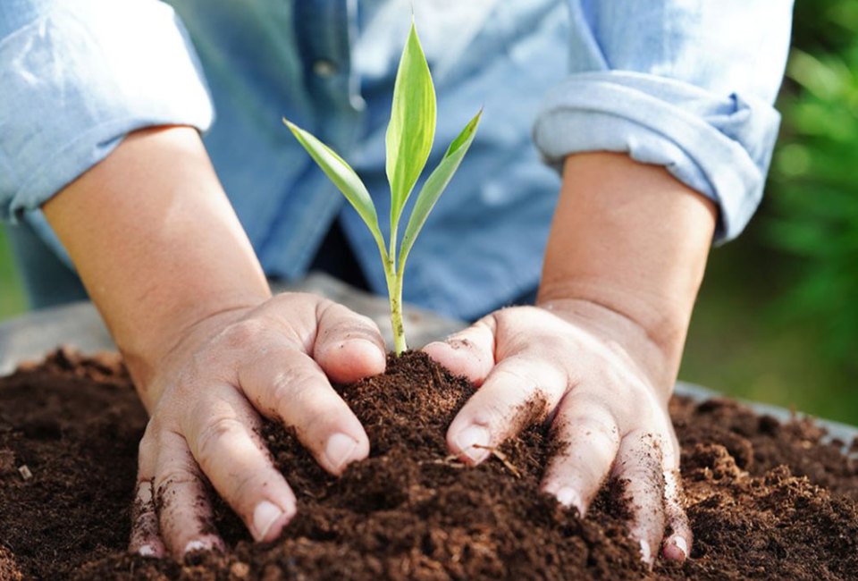 Learn more about our planet at one of these Earth Day events for kids.