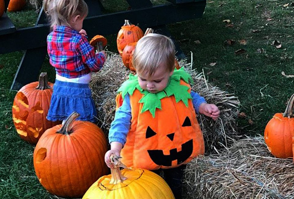 Ivoryton Village Pumpkin Festival is perfect for toddlers and preschoolers. Photo courtesy of the Festival