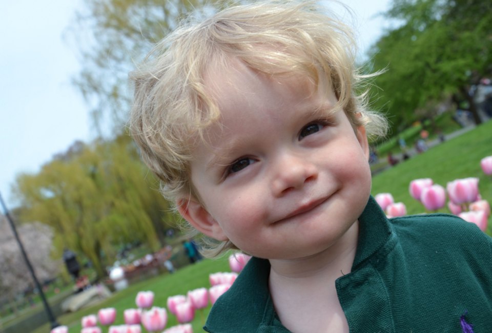 See spring flowers and cherry blossoms in the heart of the city and around Greater Boston. Boston Public Garden photo by Joe Shlobotnik via Flickr, CC BY-NC-ND 2.0