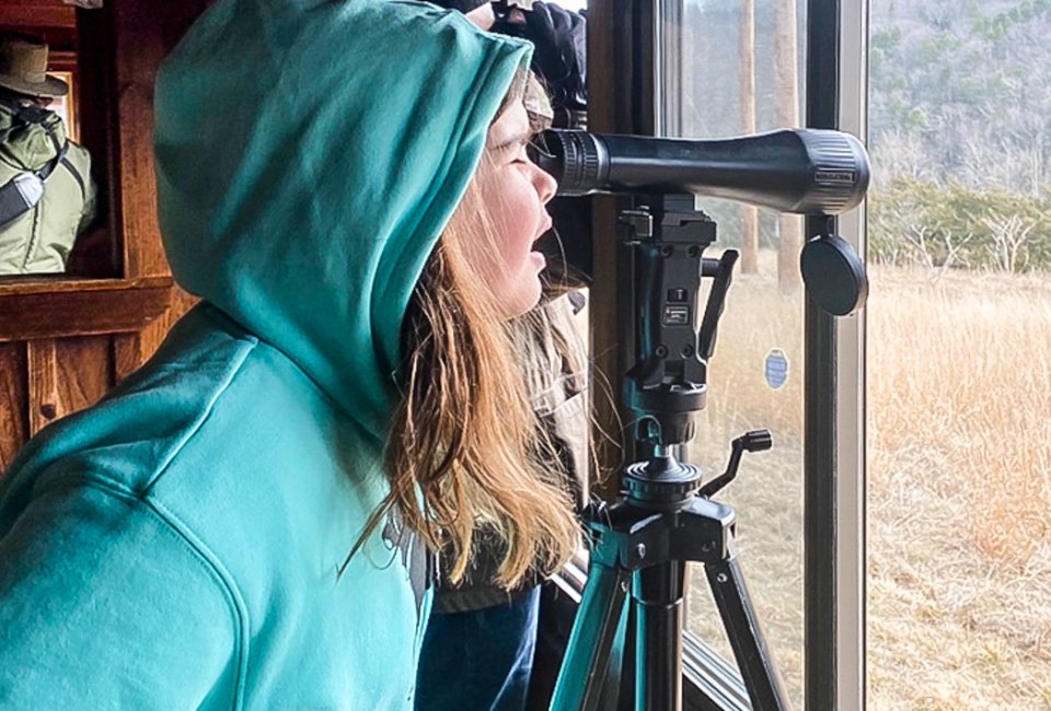 Keep an eye out for family fun in Connecticut this January 2023. Bald Eagle Viewing at Shepaug Dam, photo by Ally Noel