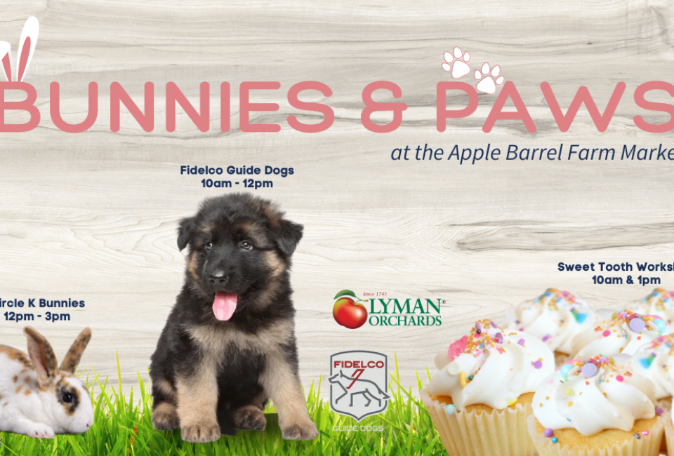 Bunnies and Paws at the Apple Barrel Farm Market