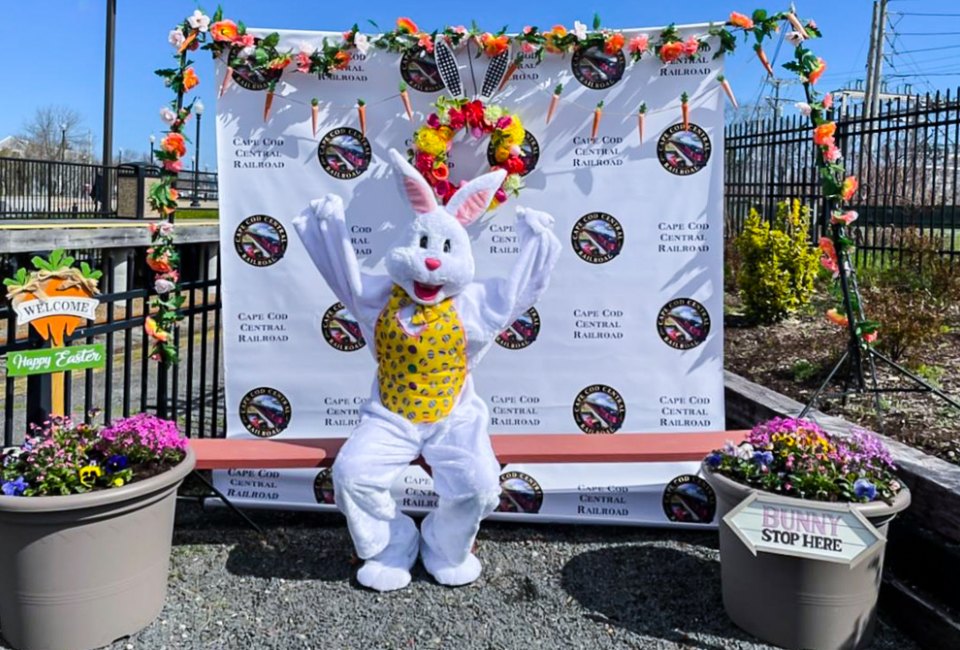 Look who's hopping into town for the top things to do in Boston this Easter Weekend 2024! Photo courtesy of the Cape Cod Central Railroad