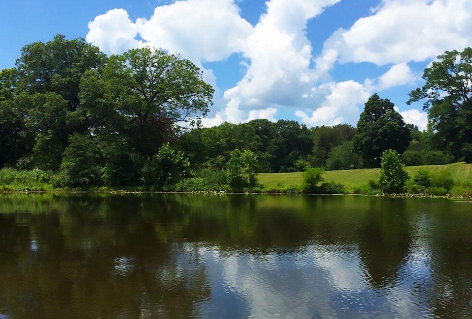 Echo Lake Park offers wide open spaces to play in. Photo courtesy of the park