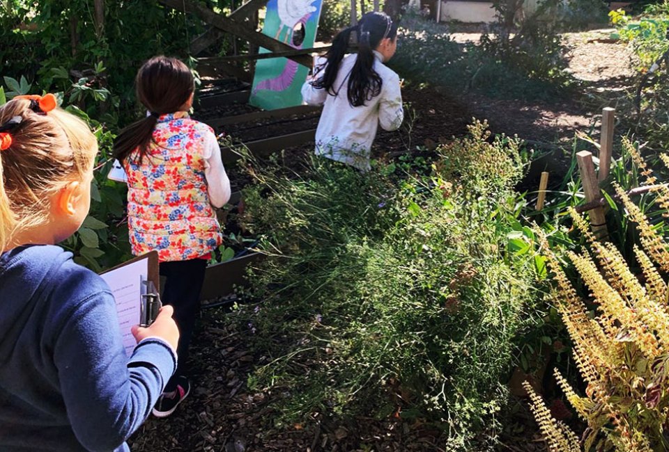 The Edible Shoolyard helps cultivate healthy kids and communities through its hands-on gardening projects. Photo courtesy of the Edible Schoolyard