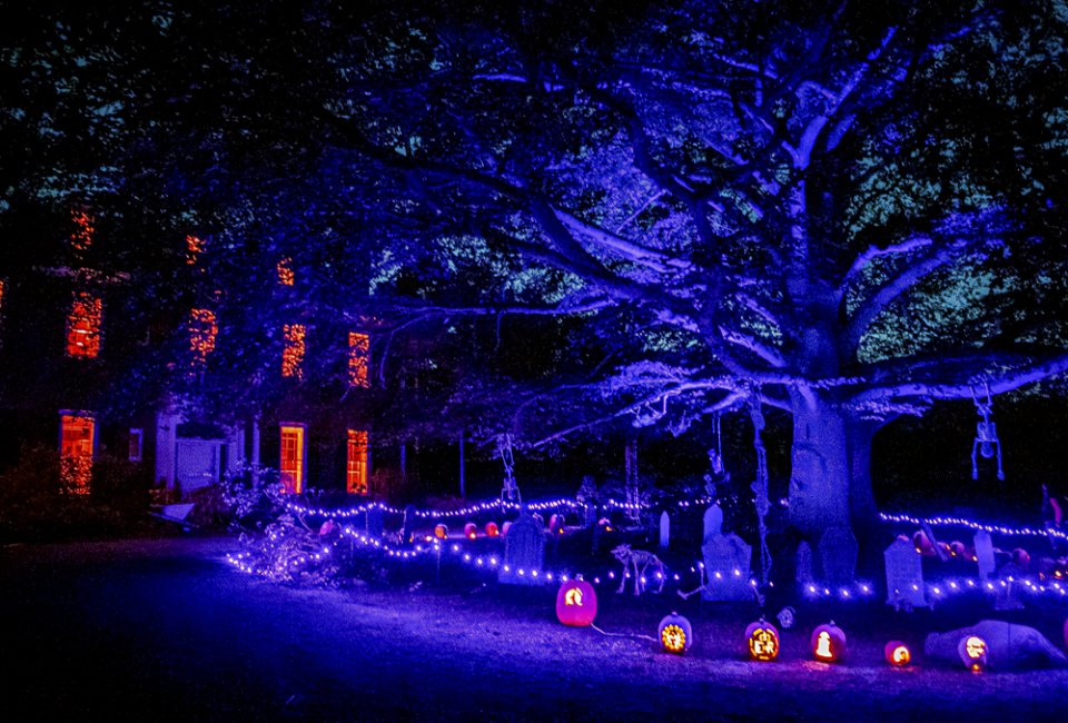 Get out for the chilly nights and spooky sights with the best Halloween events in Boston! Naumkeag Pumpkin Show event photo courtesy of The Trustees