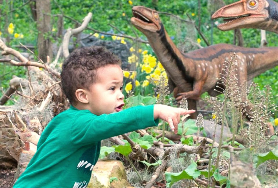 Spring Break 2024 is coming to Boston, with wild activities and fun things to do! Dinos Among Us photo courtesy of the Roger Williams Park Zoo 