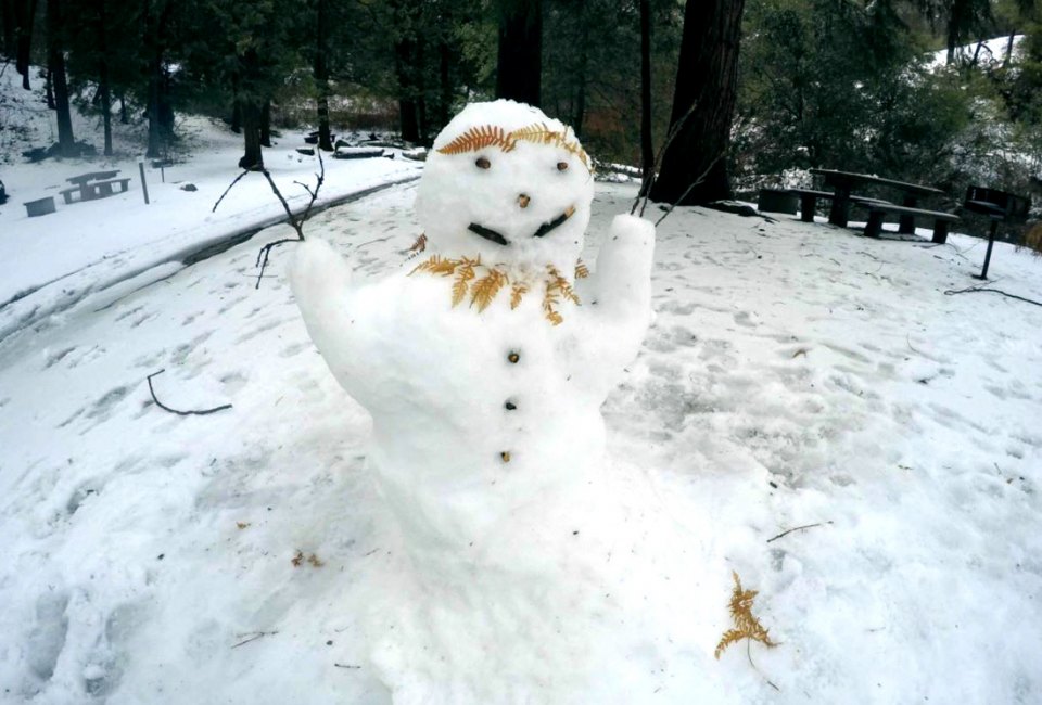 Where to Find Snow near Los Angeles: Palomar Mountain