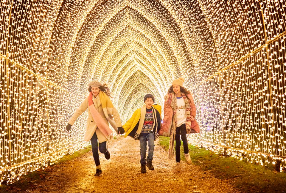 Step through dazzling light tunnels. Photo courtesy of Lightscape at the Arboretum