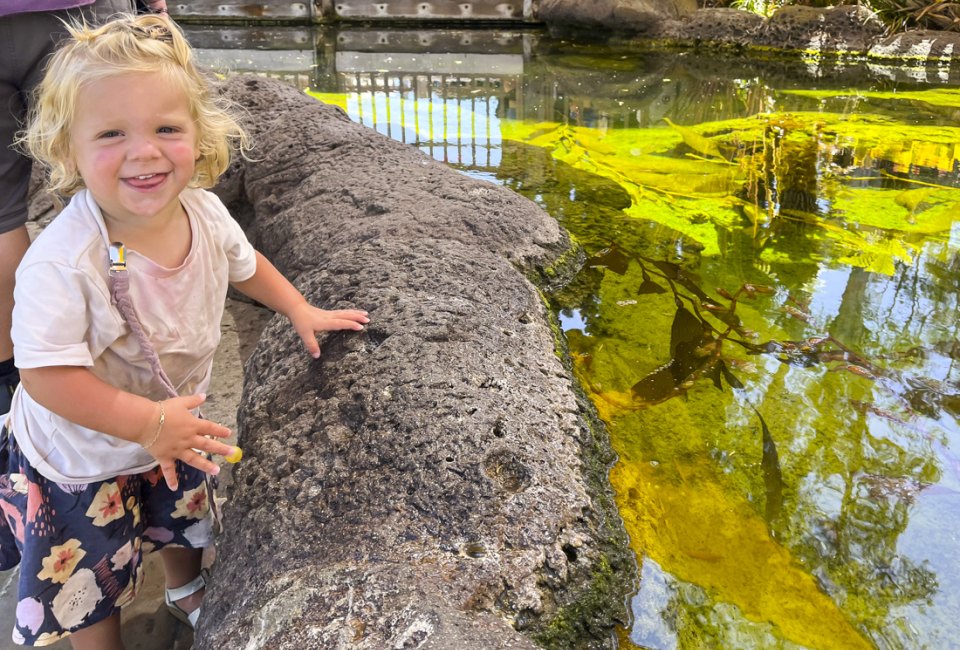 There are tide pools everywhere you look in San Diego! Photo by Kylie Williams