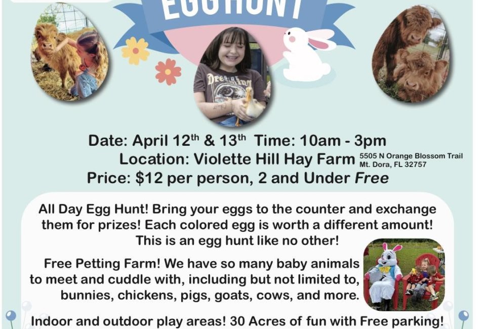 Egg Hunt on the Farm