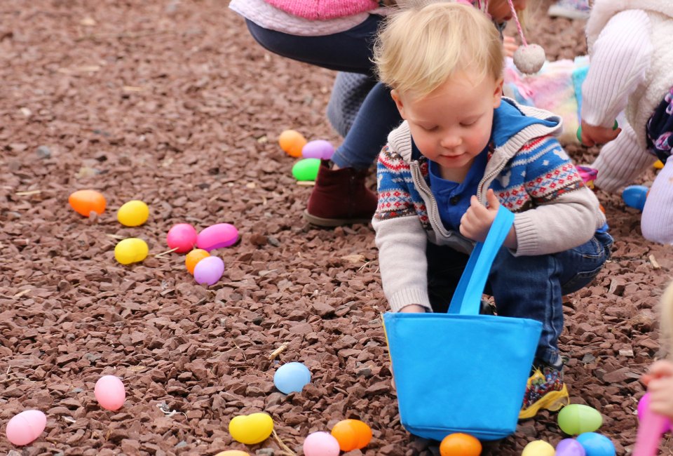 Find the golden egg at the Elmwood Park Zoo. Photo courtesy of the zoo