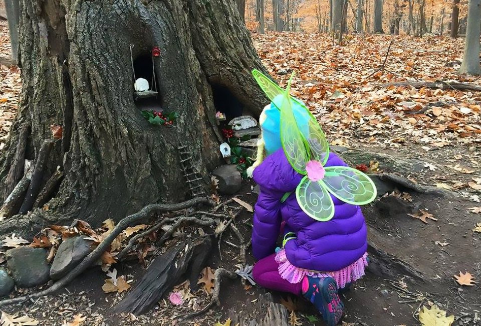 Fairy house on South Mountain Trail