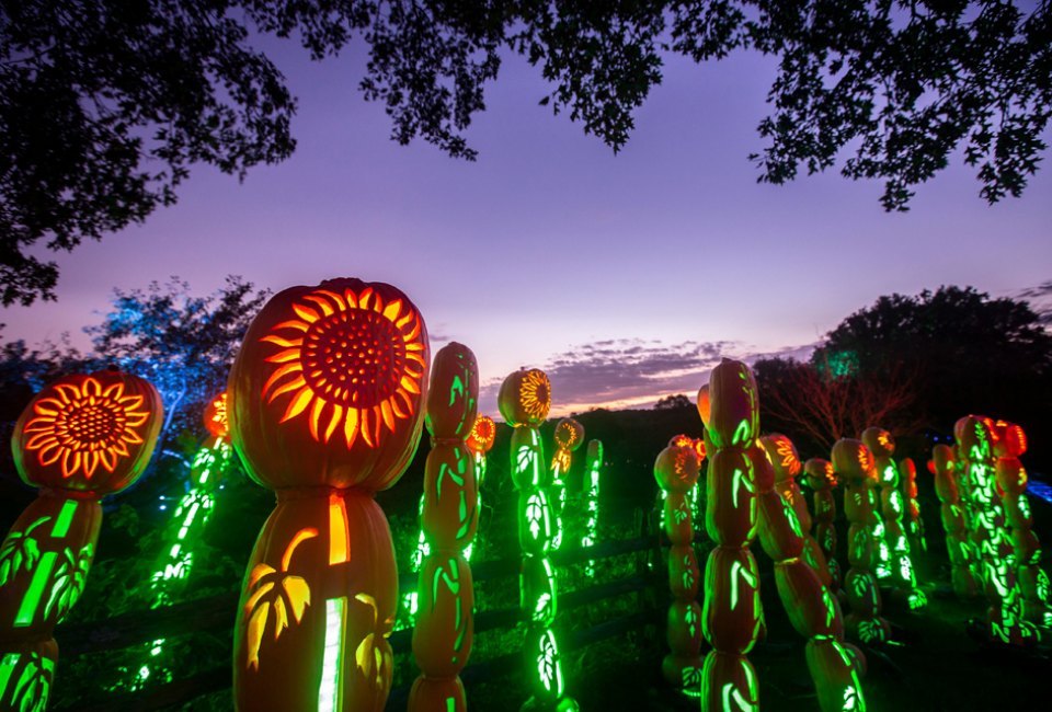 Fall day trips from NYC Great Jack O'Lantern Blaze Long Island