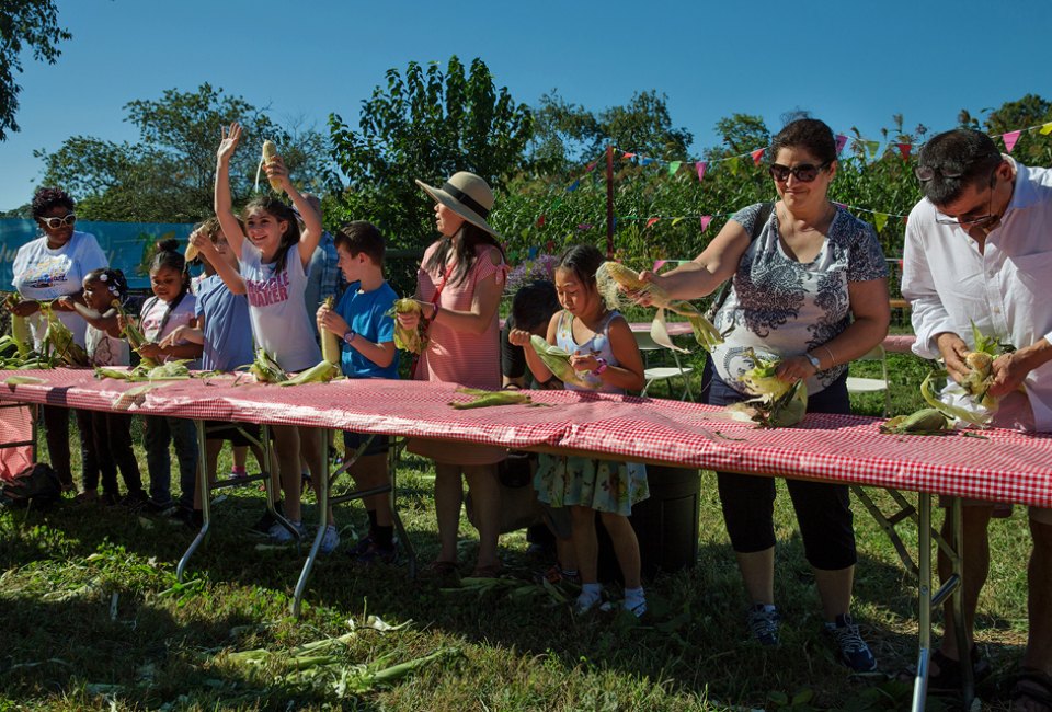 Try your hand at corn husking and more analog entertainment during the Corn Fest at the Queens County Farm Museum. Photo courtesy of the Queens County Farm Museum