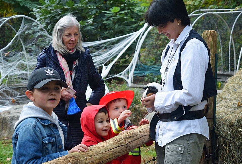 The Greeenburgh Nature Center hosts a Fall Festival on Saturday, October 22 and Sunday, October 23. Photo courtesy of the venue