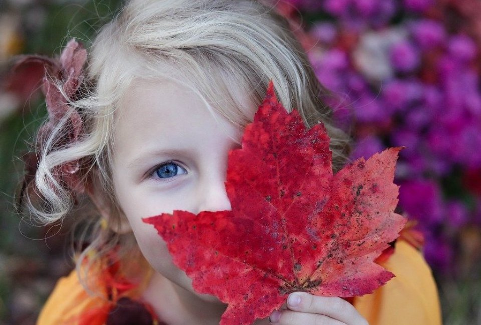 Playing in fall foliage is one of the most beautiful and fun things to do with kids in Boston in the autumn