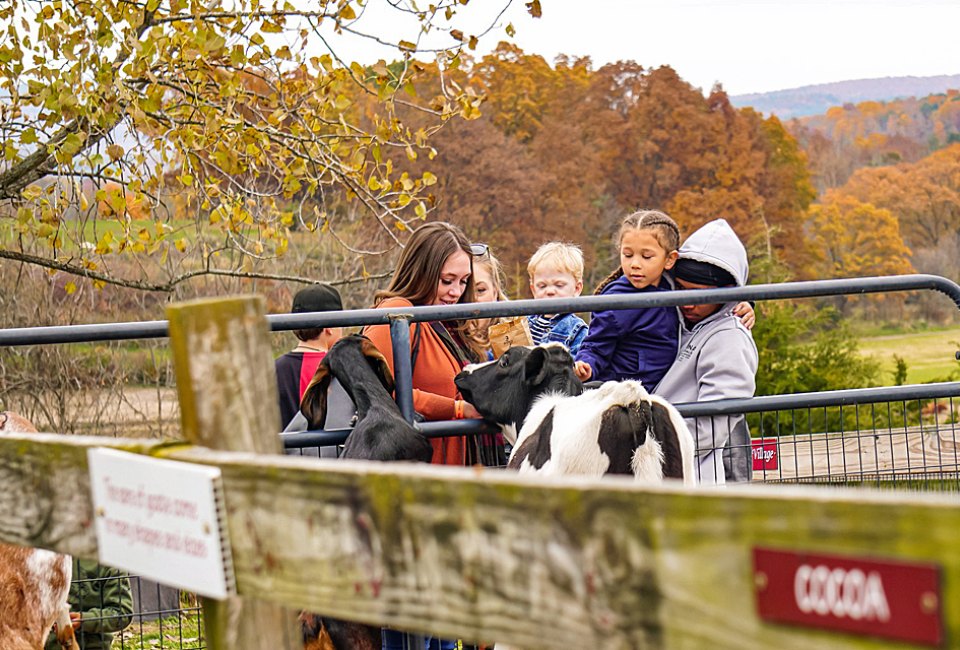 Kelder's Farm in Kerhonkson offers dozens of attractions for families to enjoy, plus plenty of pick-your-own produce. Photo courtesy of the farm