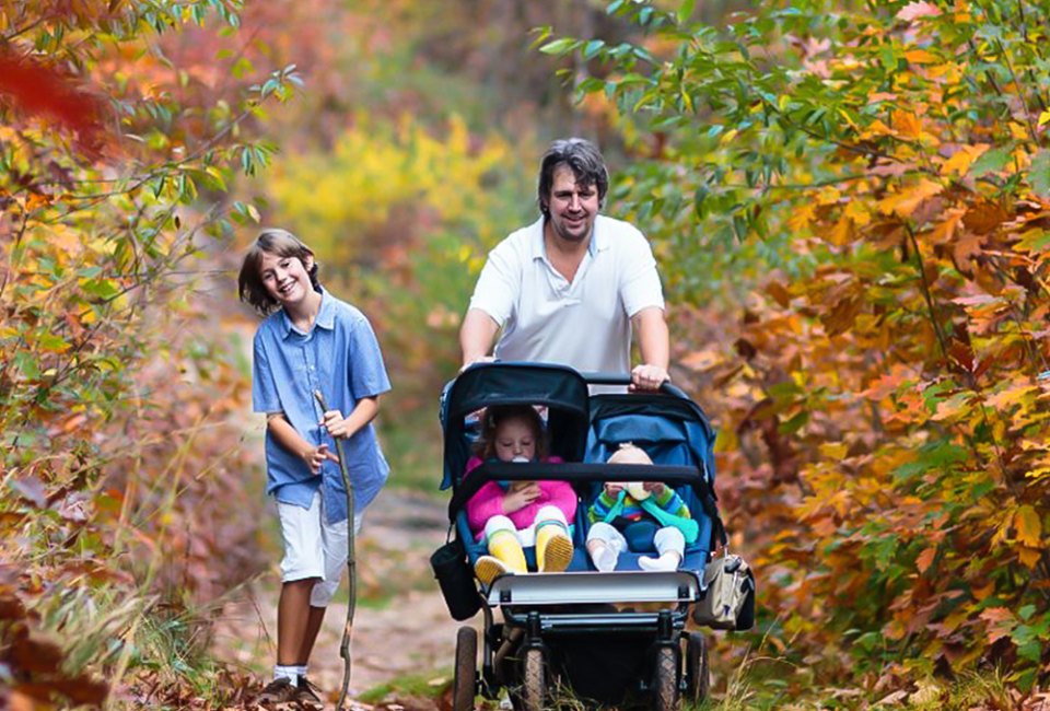 Moms and dads will get their steps in with these fun stroller hikes in Connecticut for families with babies and toddlers.