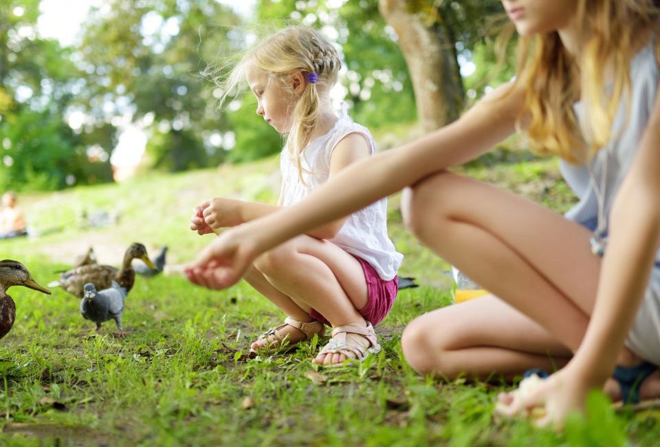 Free activities like feeding the ducks at Mary Jo Peckham Park are simple and still great fun for kids. Photo  courtesy of Canva