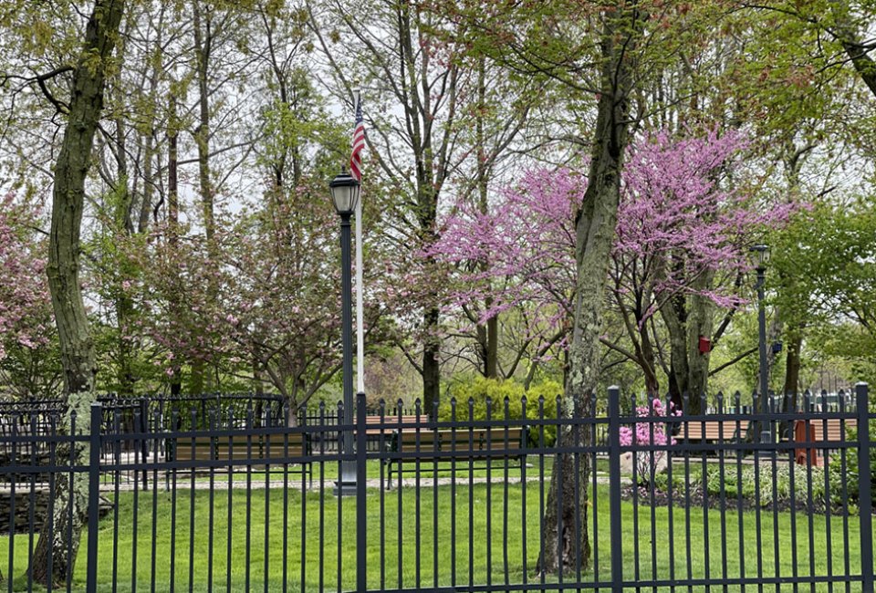 fellers pond a green park with blooming trees