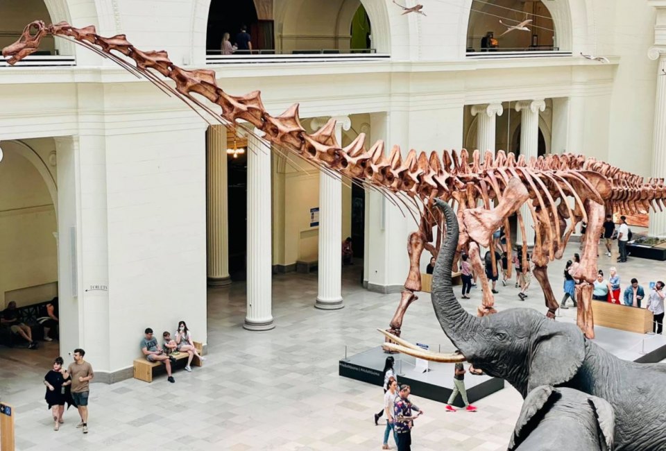 The Field Museum is home to some of the country's most complete dinosaur skeletons. 