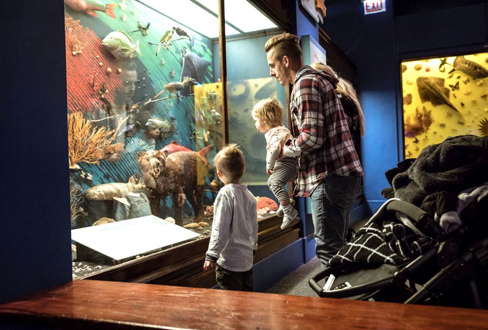Just for Illinois residents: spend a day at the Museum—for free! Photo courtesy of the museum