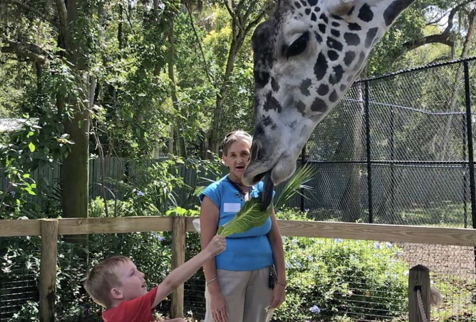 Giraffe got your tongue? Nah, it's just another fun day at the Central Florida Zoo!