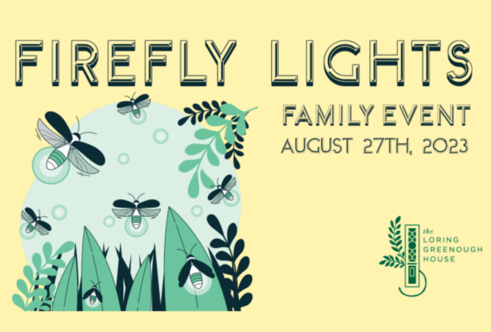 Firefly Lights
