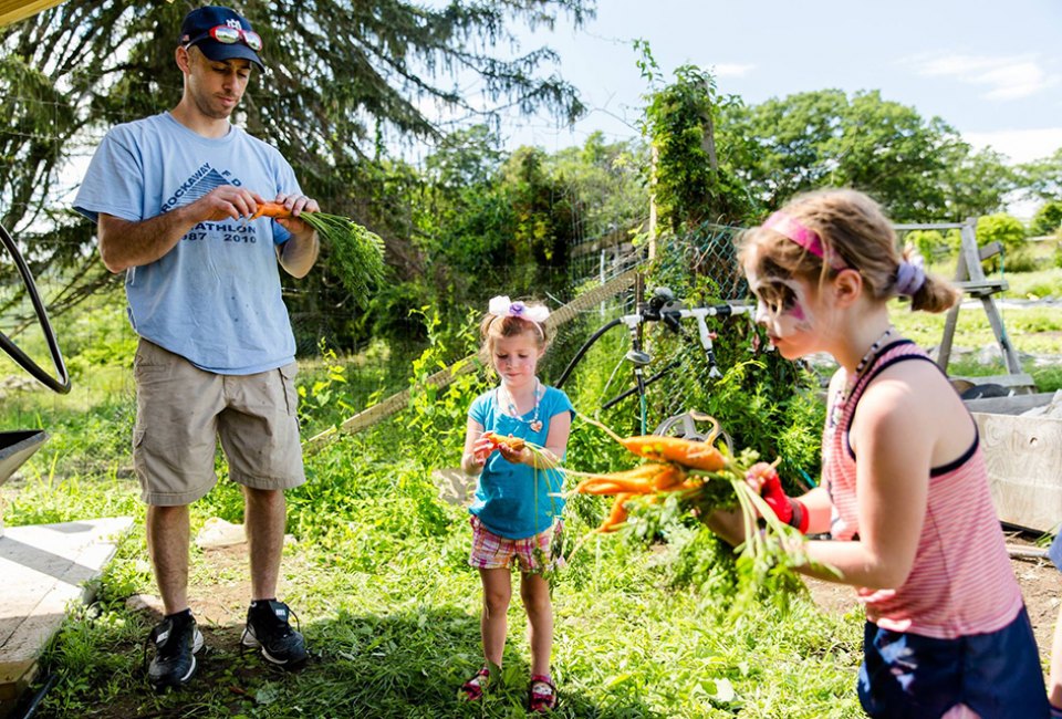  Celebrate Food and Farm Day on Saturday at Cold Spring's Glynwood Farm. Photo courtesy of the center