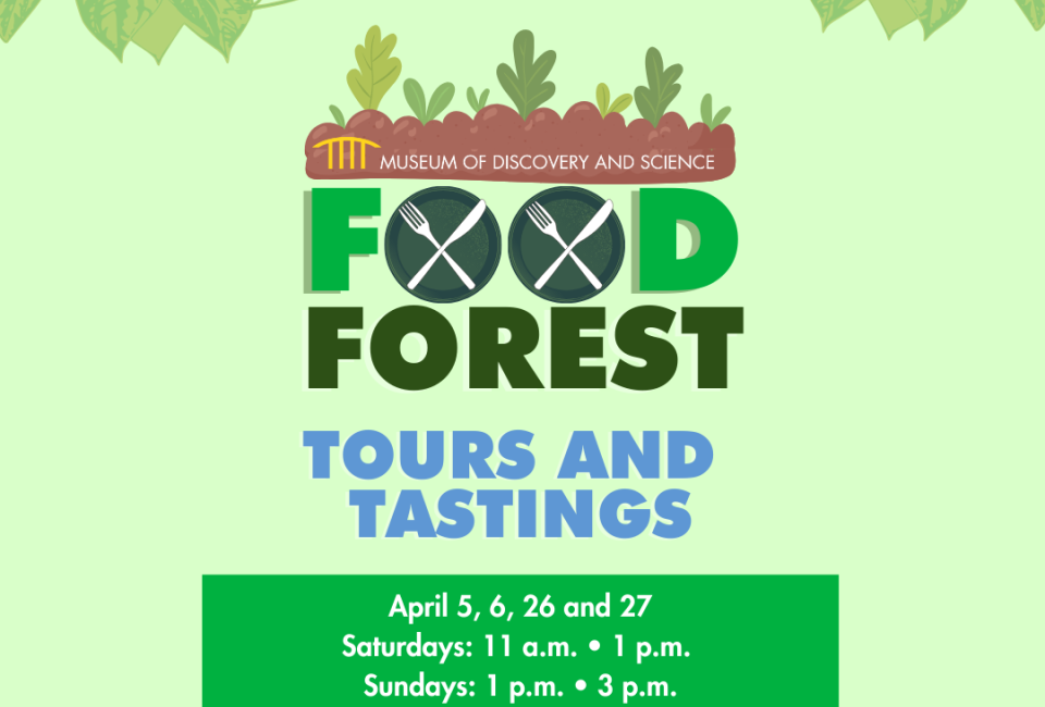 The Museum of Discovery and Science’s Food Forest Tours and Tastings
