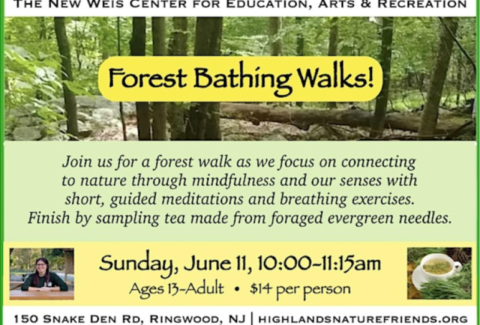 Forest Bathing Walk | Mommy Poppins - Things To Do in New Jersey with Kids
