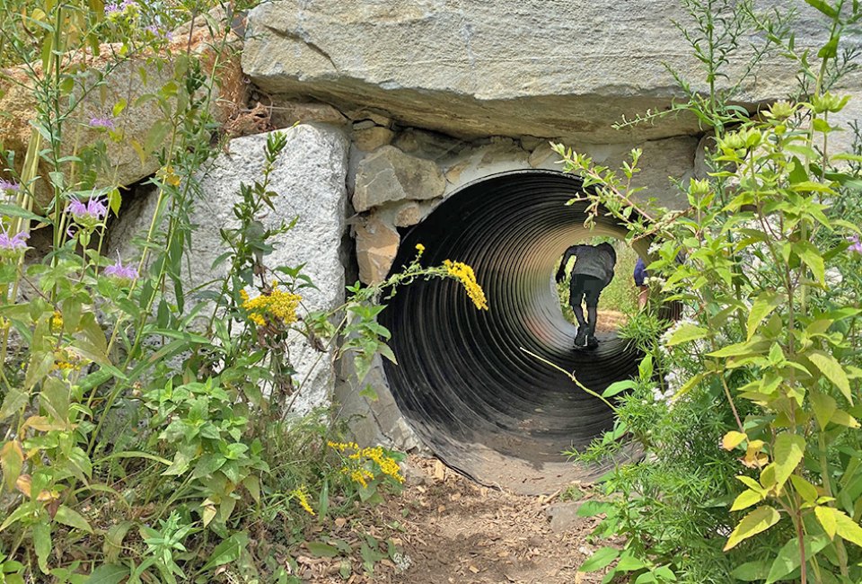 Explore Fort Williams Park in Portland, Maine. Photo by Rose Gordon Sala 