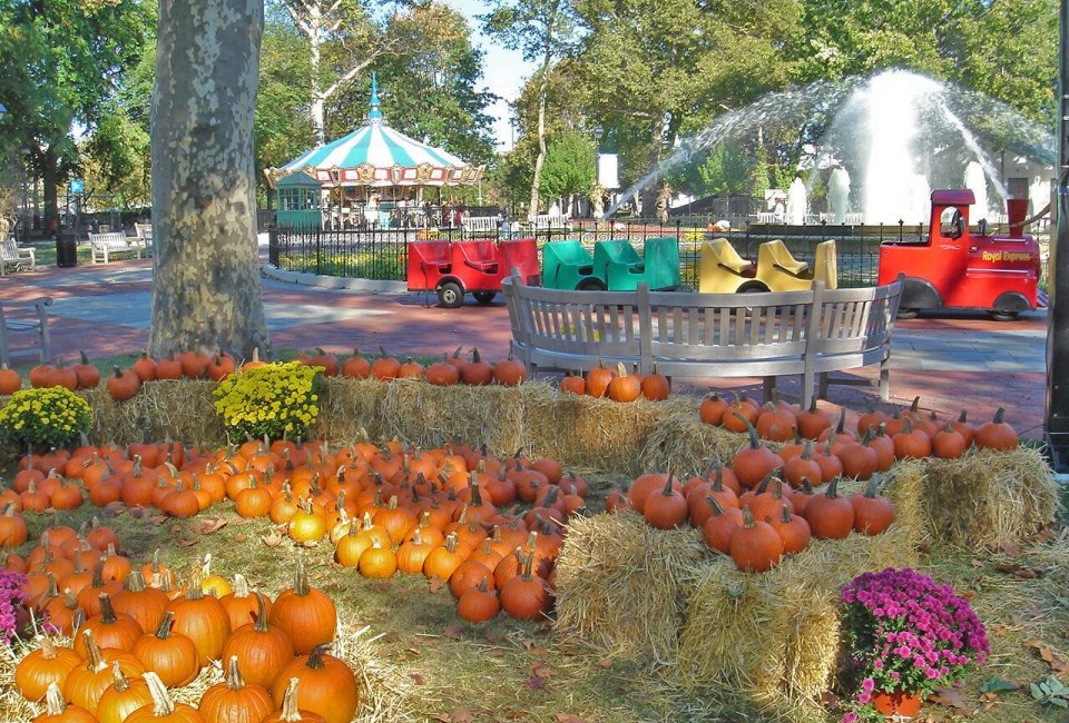 Photo of Franklin Square Pumpkin Patch by G. Widman