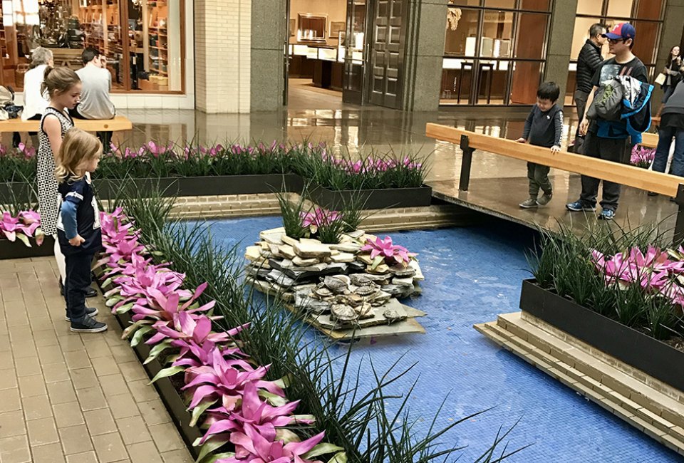 Enjoy the courtyard with ducks and turtles at Northpark Center. Photo by the author