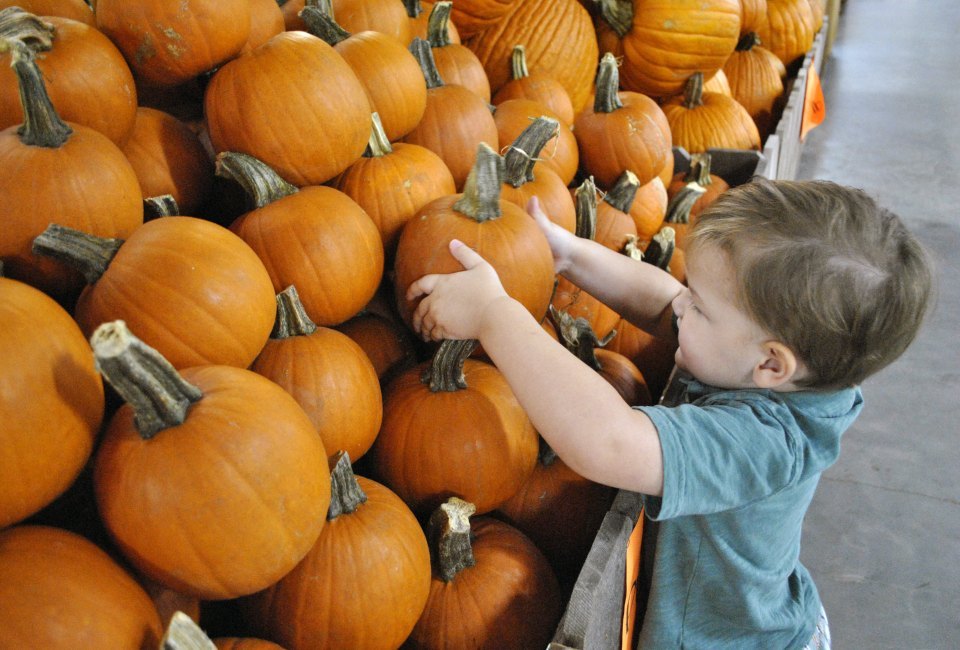 Froberg's Farm photo by Ashley Jones for Mommy Poppins