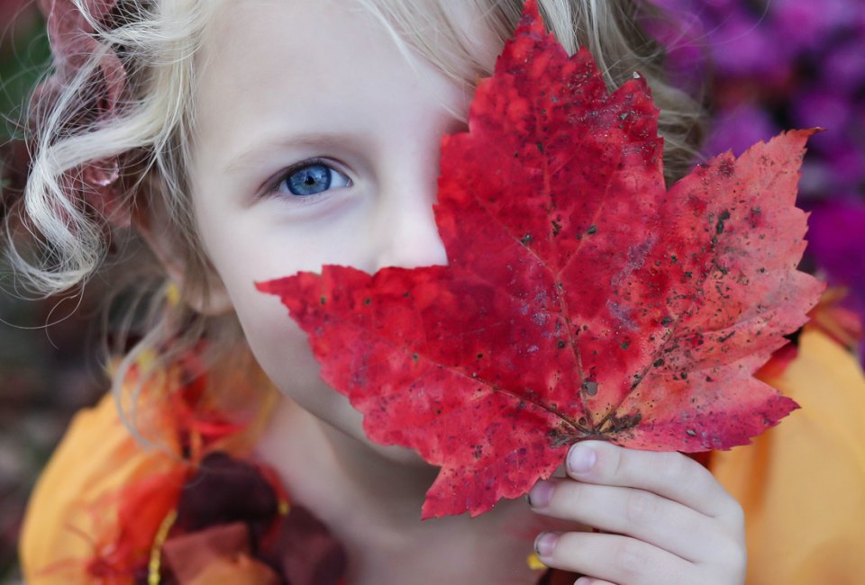 Veterans Day Weekend in Connecticut: Top Things To Do with Kids Don't look now, but it's Veteran's Day weekend in Connecticut 2022! Photo by Gabby Orcutt, courtesy of Unsplash