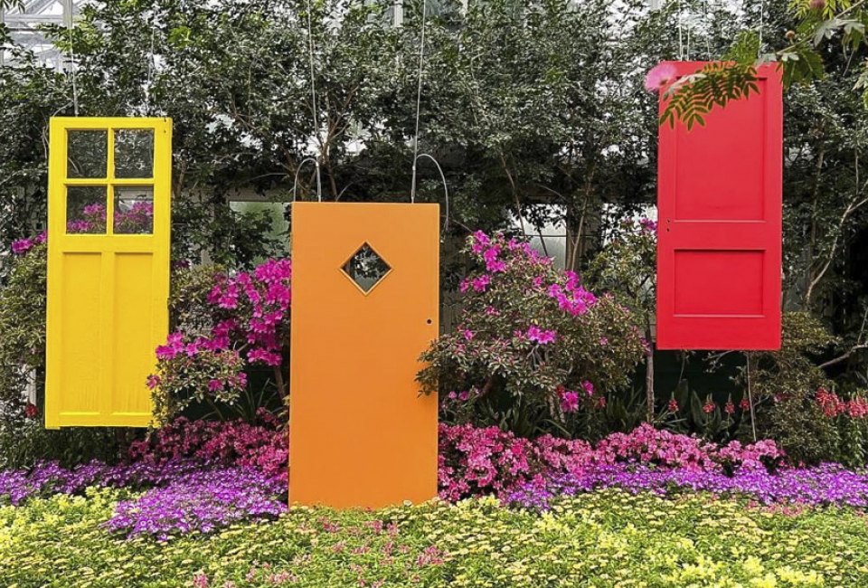 Spring Flower Show: Knock Knock, photo courtesy of Garfield Park Conservatory