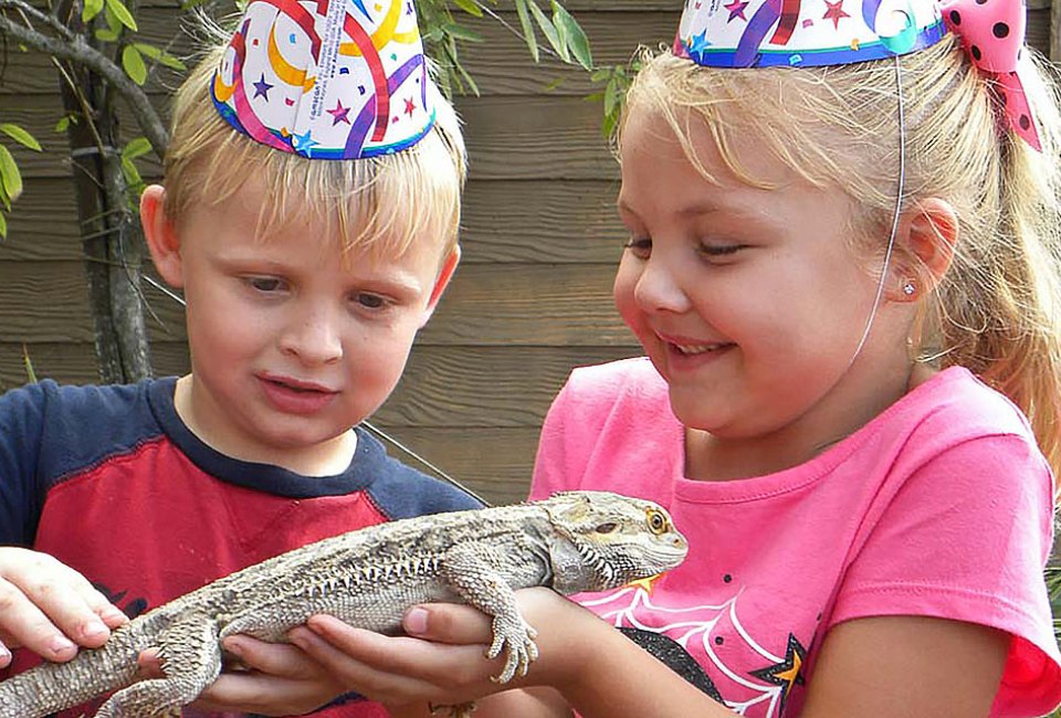 Celebrate your child's birthday party at Gatorland. Photo courtesy of Gatorland