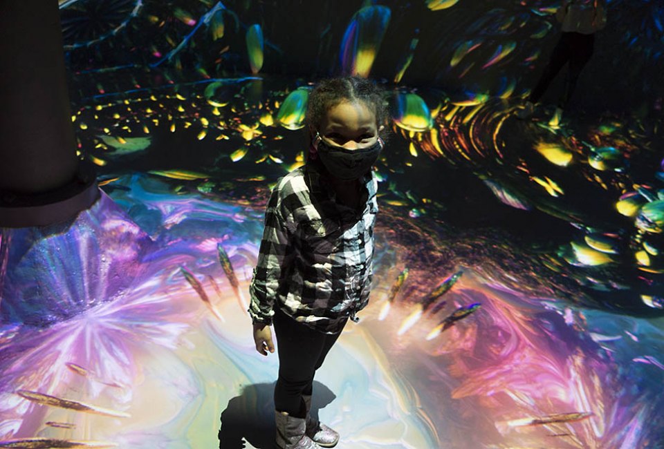Walls, floors, and visitors themselves become part of the canvas at the immersive Artechouse NYC.