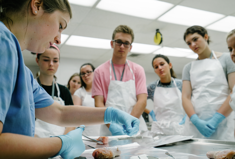 Hoya Summer High School Medical School, photo courtesy of Georgetown University