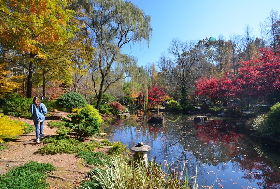 The Japanese Garden at Gibbs Garden explodes with color during the fall. Photo by Bill Leffler