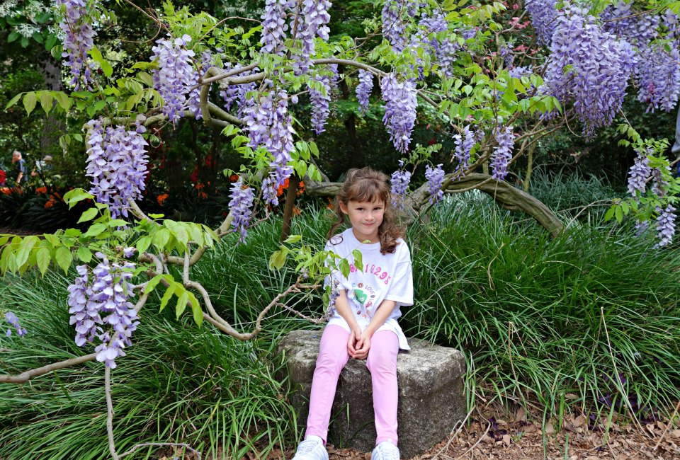 Fresh air and gorgeous selfie backgrounds abound at Descanso Gardens. Photo by Meghan Rose