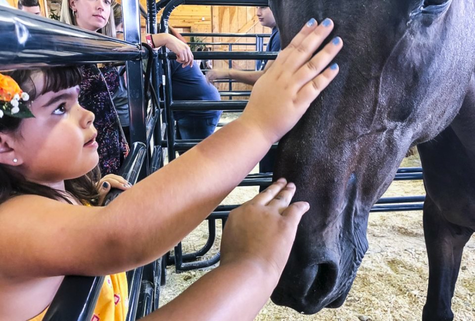Goshen Fair by Ally Noel, courtesy of Mommy Poppins
