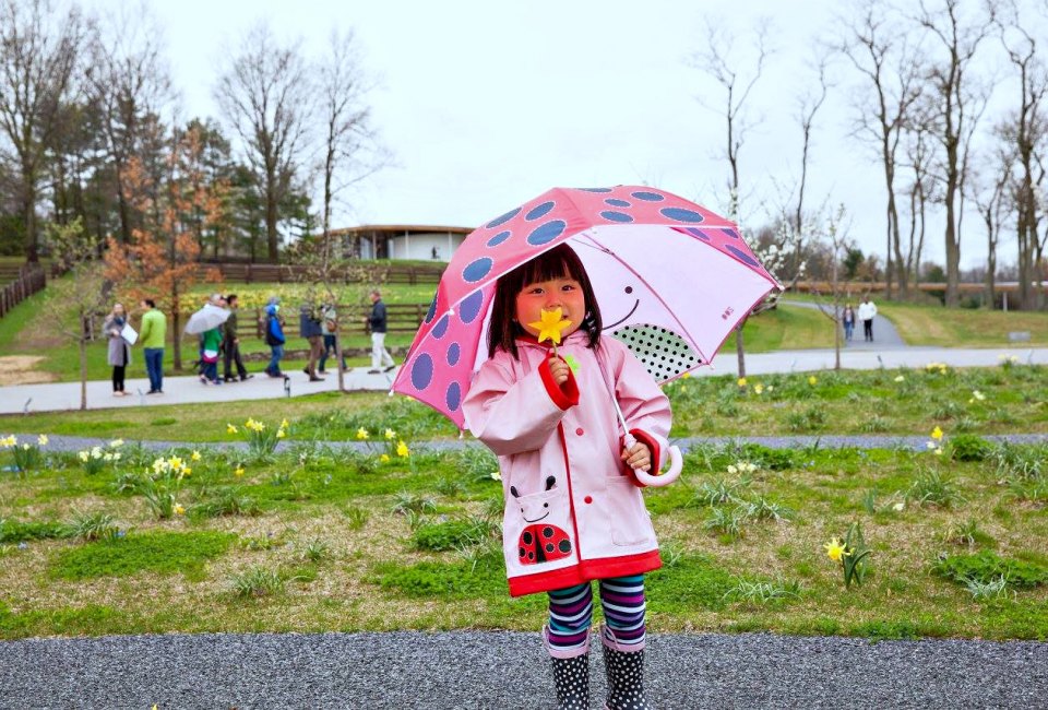 Celebrate Earth Day at Grace Farms. Photo by Vanessa Van Ryzin