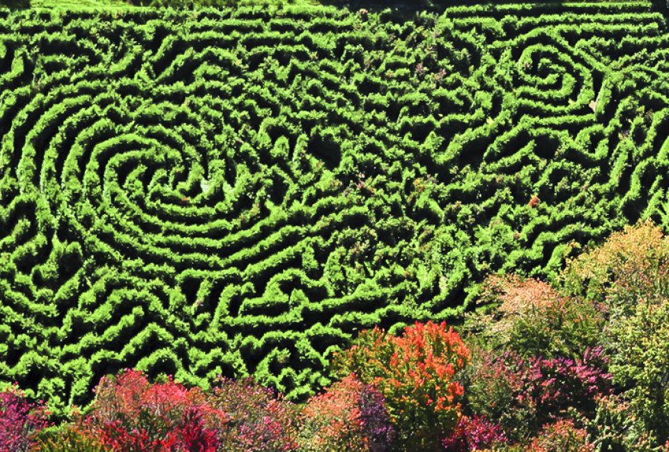 Image of the Big Green Monster Maze corn maze near Boston.